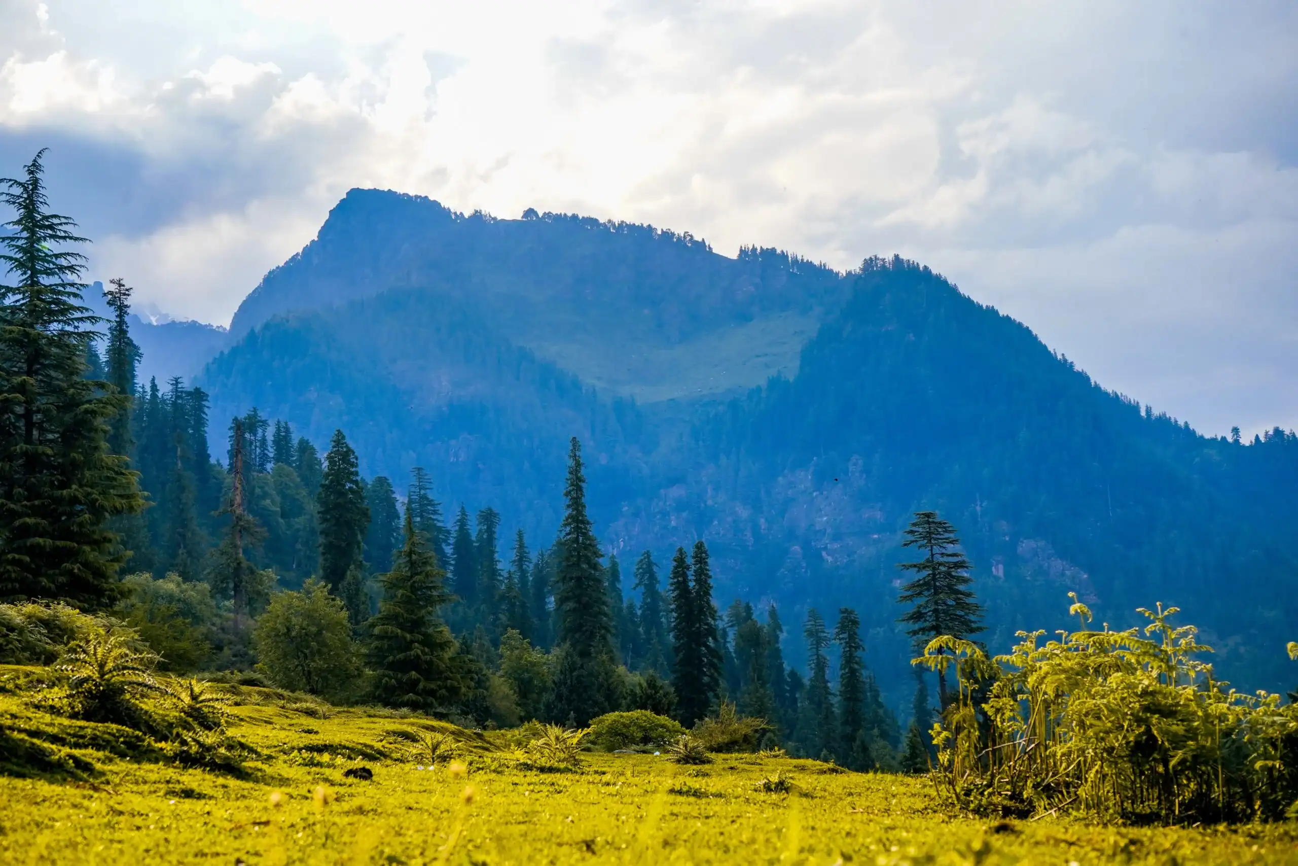 Mountains